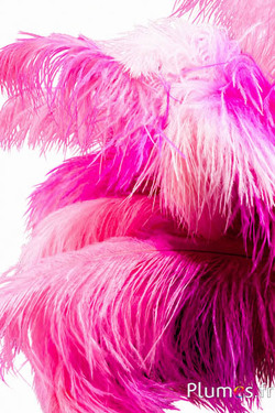 Struisvogel - 30-40 cm - pink-donkerroze